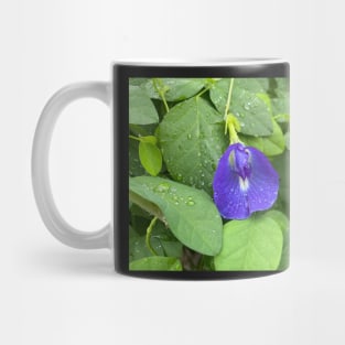 Violet Flower Blossom Mug